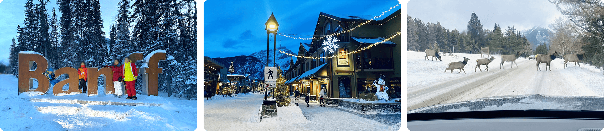 Banff town & Calgary