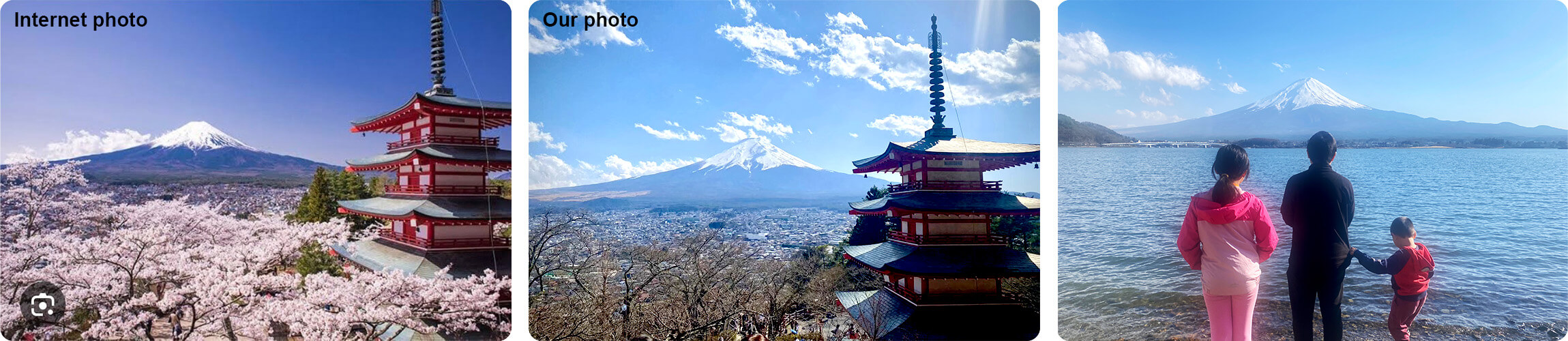 Mount Fuji and pagoda view during cherry blossom season in Japan